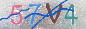 CAPTCHA (Şahıs Denetim Kodu) Resmi