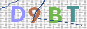 CAPTCHA (Şahıs Denetim Kodu) Resmi