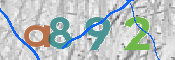 CAPTCHA (Şahıs Denetim Kodu) Resmi