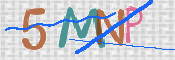 CAPTCHA (Şahıs Denetim Kodu) Resmi