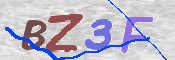 CAPTCHA (Şahıs Denetim Kodu) Resmi