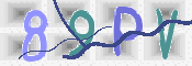 CAPTCHA (Şahıs Denetim Kodu) Resmi