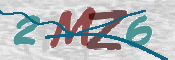 CAPTCHA (Şahıs Denetim Kodu) Resmi