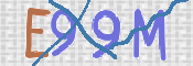 CAPTCHA (Şahıs Denetim Kodu) Resmi