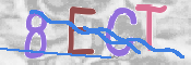 CAPTCHA (Şahıs Denetim Kodu) Resmi