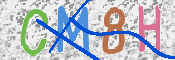 CAPTCHA (Şahıs Denetim Kodu) Resmi