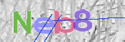CAPTCHA (Şahıs Denetim Kodu) Resmi