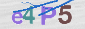 CAPTCHA (Şahıs Denetim Kodu) Resmi