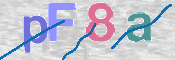 CAPTCHA (Şahıs Denetim Kodu) Resmi