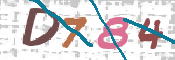 CAPTCHA (Şahıs Denetim Kodu) Resmi