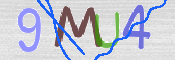 CAPTCHA (Şahıs Denetim Kodu) Resmi