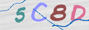 CAPTCHA (Şahıs Denetim Kodu) Resmi