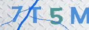 CAPTCHA (Şahıs Denetim Kodu) Resmi