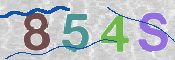 CAPTCHA (Şahıs Denetim Kodu) Resmi