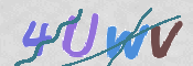 CAPTCHA (Şahıs Denetim Kodu) Resmi
