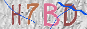 CAPTCHA (Şahıs Denetim Kodu) Resmi
