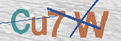 CAPTCHA (Şahıs Denetim Kodu) Resmi