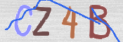 CAPTCHA (Şahıs Denetim Kodu) Resmi