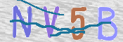 CAPTCHA (Şahıs Denetim Kodu) Resmi