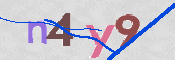 CAPTCHA (Şahıs Denetim Kodu) Resmi