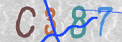 CAPTCHA (Şahıs Denetim Kodu) Resmi