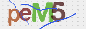 CAPTCHA (Şahıs Denetim Kodu) Resmi