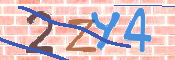 CAPTCHA (Şahıs Denetim Kodu) Resmi