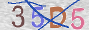 CAPTCHA (Şahıs Denetim Kodu) Resmi