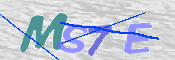 CAPTCHA (Şahıs Denetim Kodu) Resmi