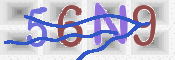 CAPTCHA (Şahıs Denetim Kodu) Resmi