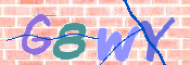 CAPTCHA (Şahıs Denetim Kodu) Resmi