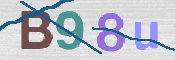 CAPTCHA (Şahıs Denetim Kodu) Resmi