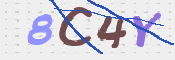CAPTCHA (Şahıs Denetim Kodu) Resmi