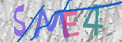 CAPTCHA (Şahıs Denetim Kodu) Resmi