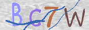 CAPTCHA (Şahıs Denetim Kodu) Resmi
