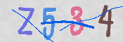 CAPTCHA (Şahıs Denetim Kodu) Resmi