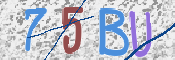 CAPTCHA (Şahıs Denetim Kodu) Resmi
