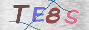 CAPTCHA (Şahıs Denetim Kodu) Resmi