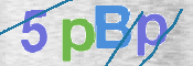 CAPTCHA (Şahıs Denetim Kodu) Resmi