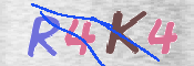 CAPTCHA (Şahıs Denetim Kodu) Resmi
