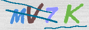 CAPTCHA (Şahıs Denetim Kodu) Resmi