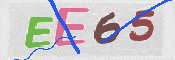 CAPTCHA (Şahıs Denetim Kodu) Resmi
