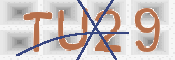 CAPTCHA (Şahıs Denetim Kodu) Resmi