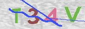 CAPTCHA (Şahıs Denetim Kodu) Resmi
