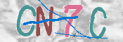 CAPTCHA (Şahıs Denetim Kodu) Resmi