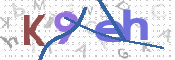 CAPTCHA (Şahıs Denetim Kodu) Resmi