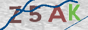 CAPTCHA (Şahıs Denetim Kodu) Resmi