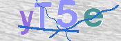 CAPTCHA (Şahıs Denetim Kodu) Resmi