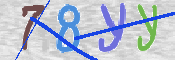 CAPTCHA (Şahıs Denetim Kodu) Resmi