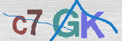 CAPTCHA (Şahıs Denetim Kodu) Resmi